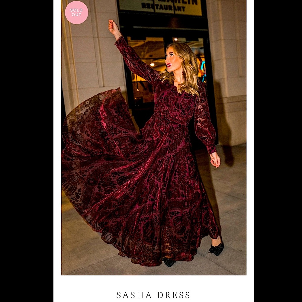BNWT Ivy City Co. XS Sasha Dress